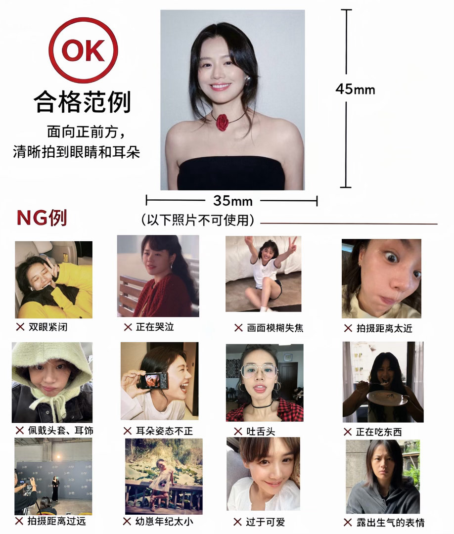 给猫咪拍证件照一定要注意这些事项😌 