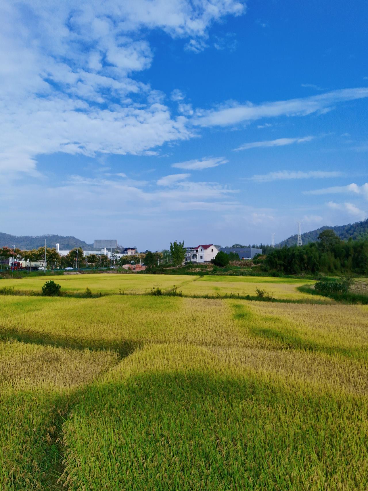 29中的一个孩子，初三的孩子，基本上不想到学校去了，为什么呢？因为孩子觉得压力很