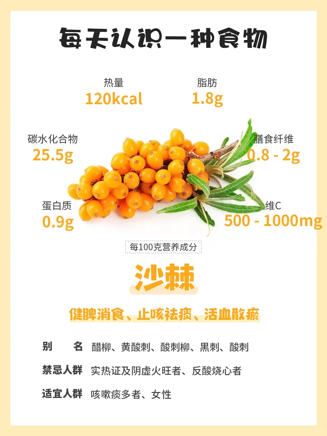每天认识一种食物 | 沙棘