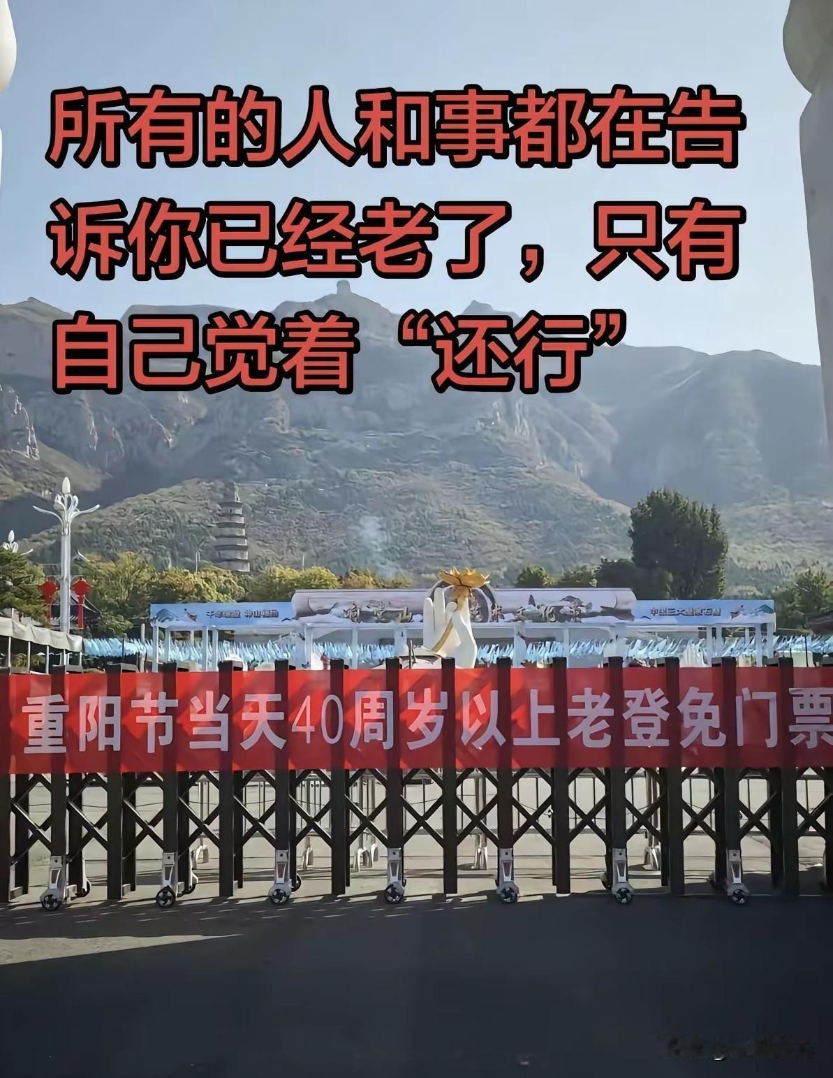 我们的节日——重阳节！
所有人都知道我们这代人已经老了，但我内心还装着一个太史慈