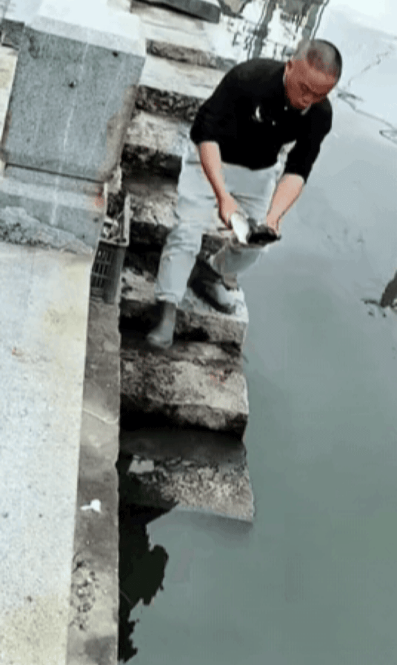 鱼：感谢大哥的不杀之恩！[作揖]