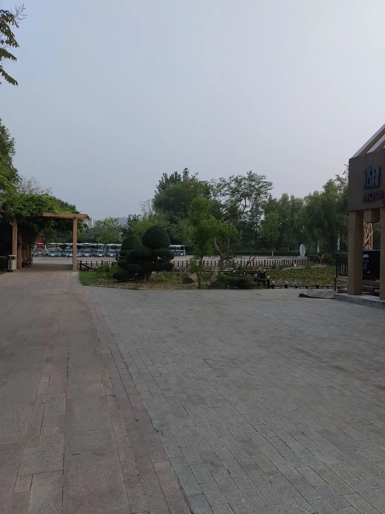 晒图笔记大赛早晨空气好，公园转一转
