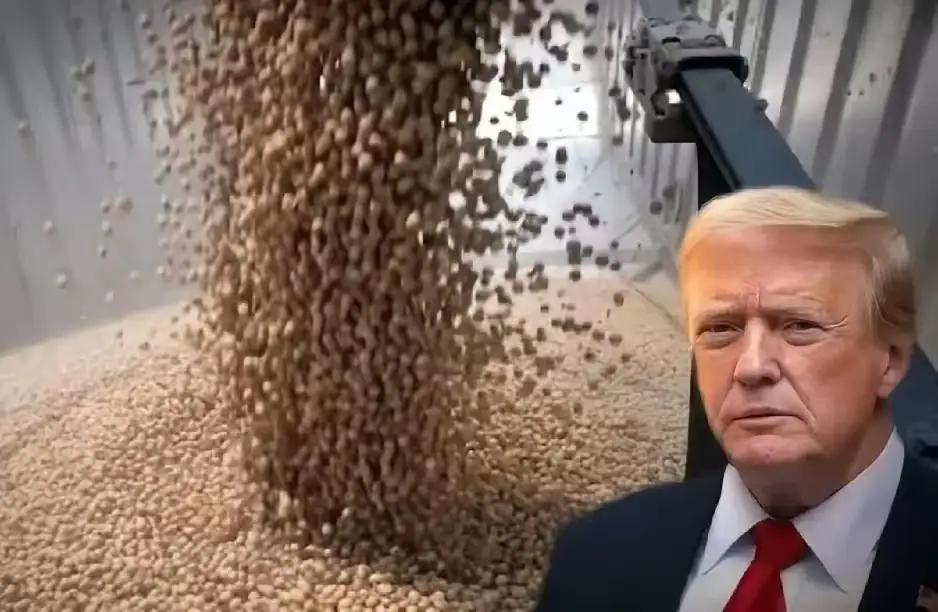 中国买了那么多美国大豆，也开放了对美稀土供应，得到的结果却是美国“台湾保证实施法