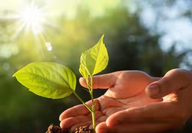 觉醒后，
一定要挣脱道德约束绑架，
真对你好的人，
不会约束绑架你，
只会默默关