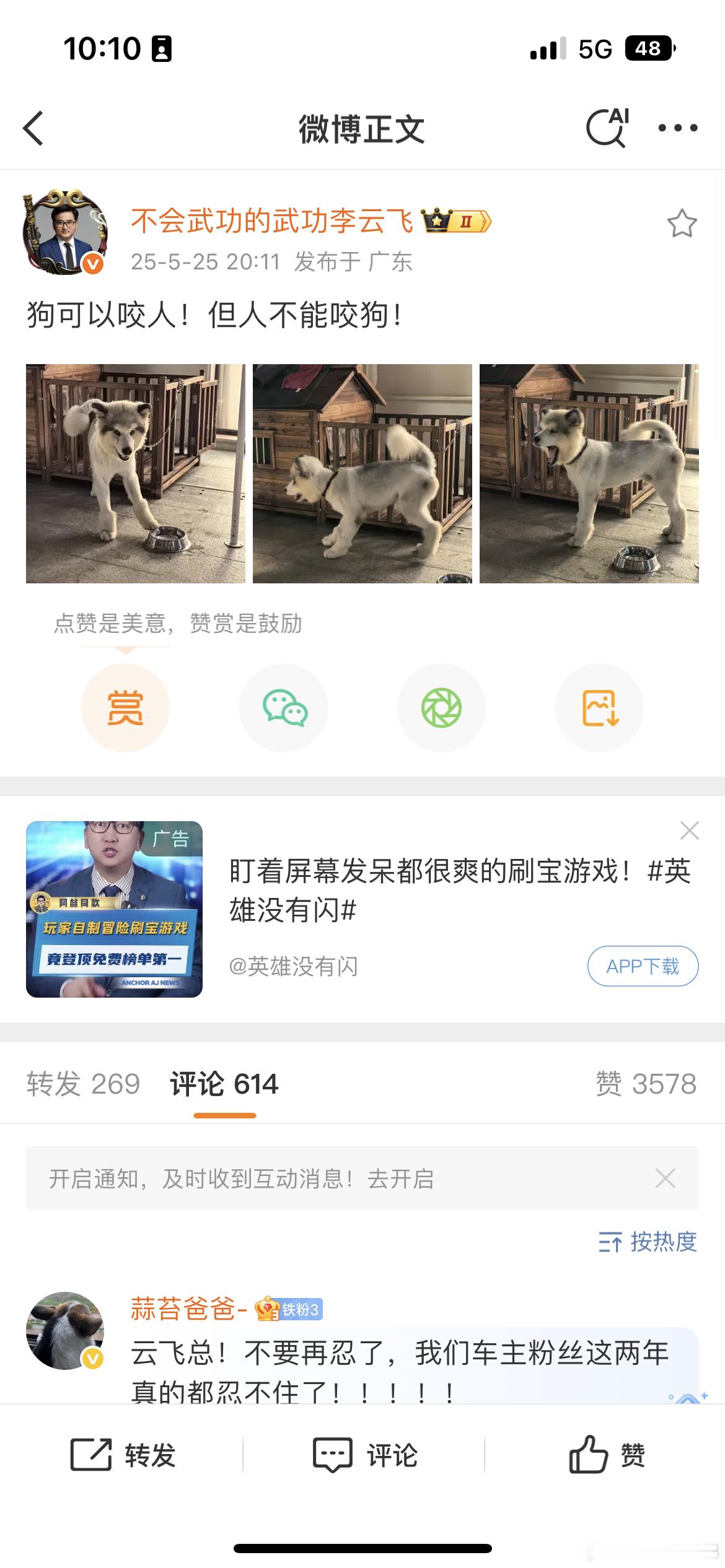 忠犬八公的故事告诉我们，有些狗注定会成为我们一生的朋友。但一定要排除的是疯狗。 