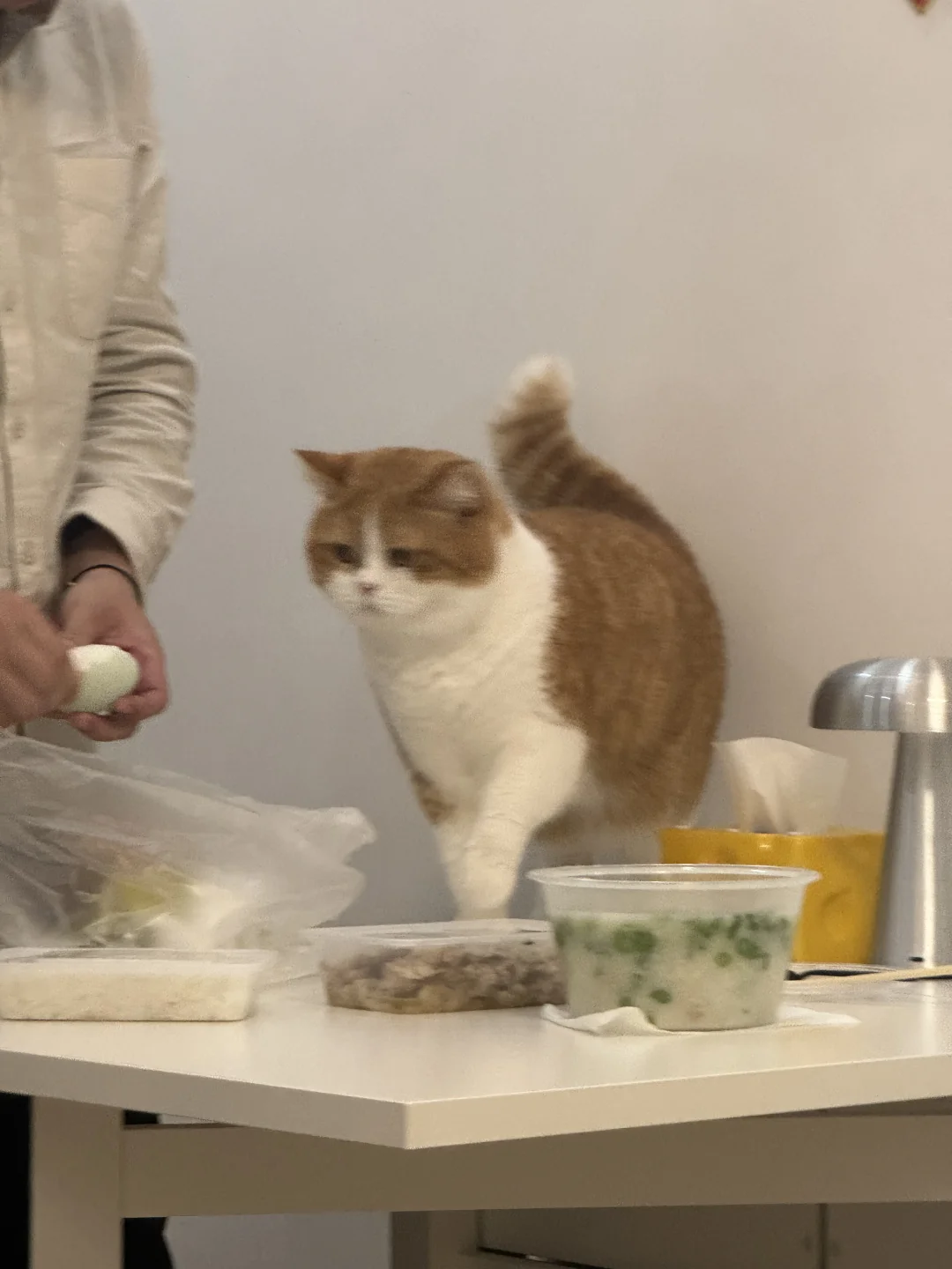 爸爸 这个鸡蛋是给我的吗？