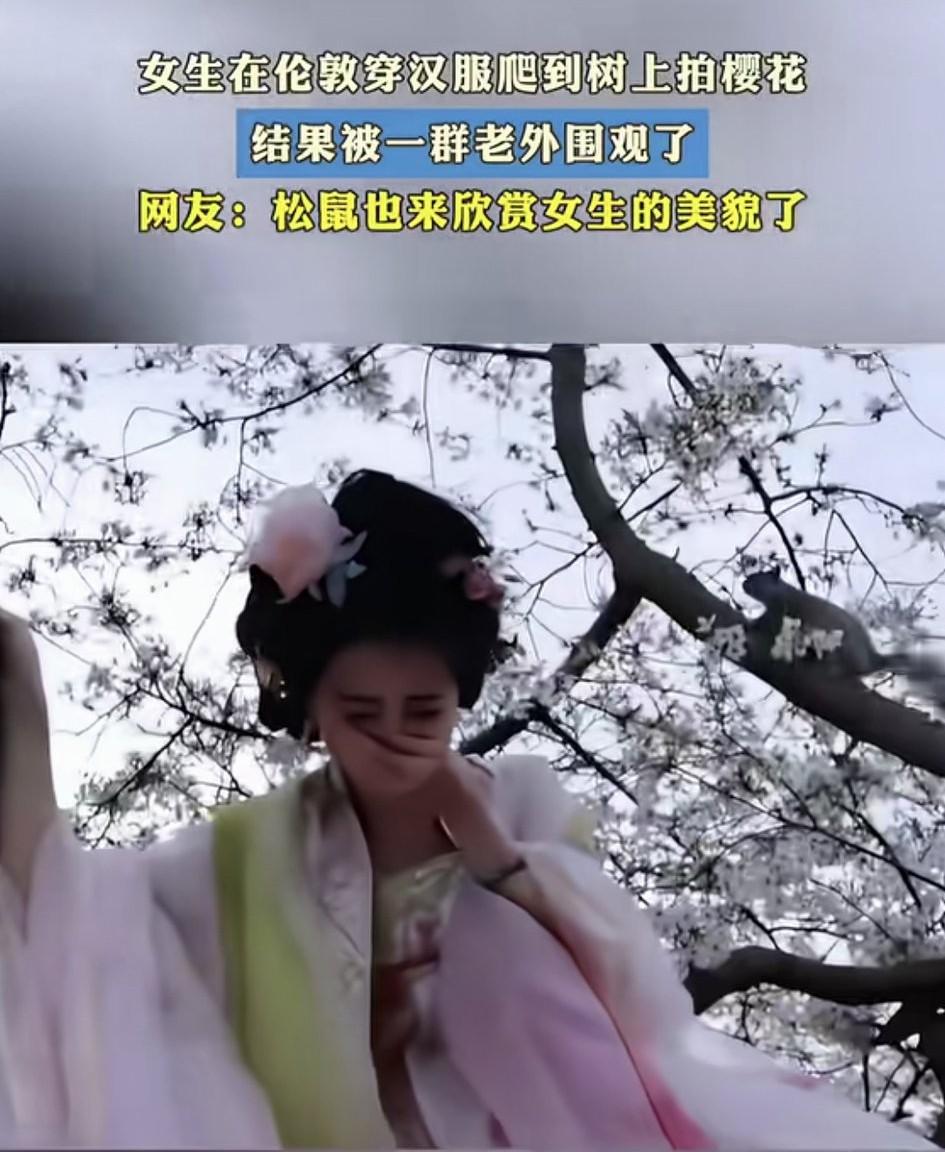 一女生在英国伦敦穿汉服爬树上拍樱花🌸结果被一群人给围观了，她也成了树上的一景。
