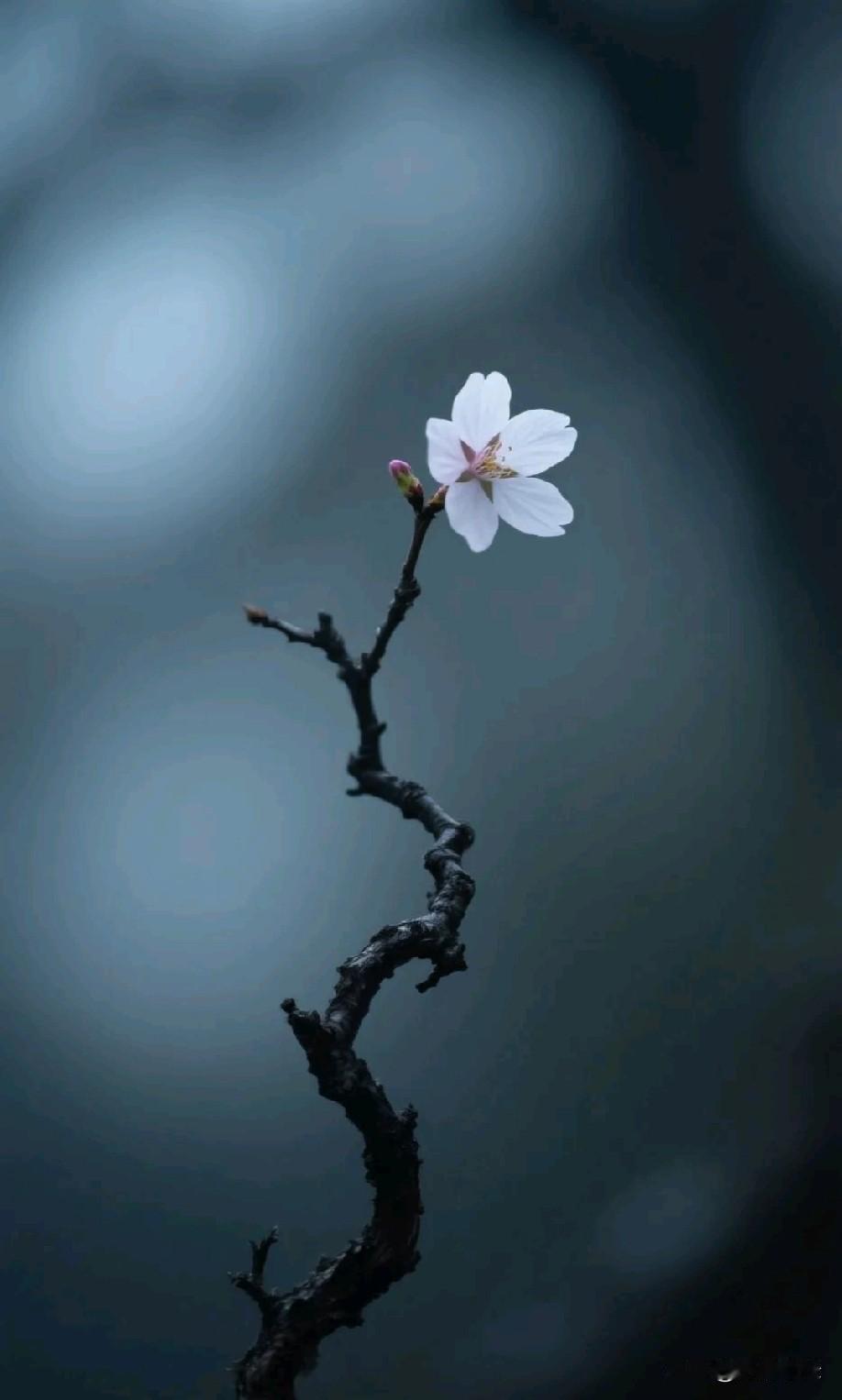 问大家一个问题，实话实说：
现在能毫无压力，辅导孩子小学作业的家长有多少？不会超