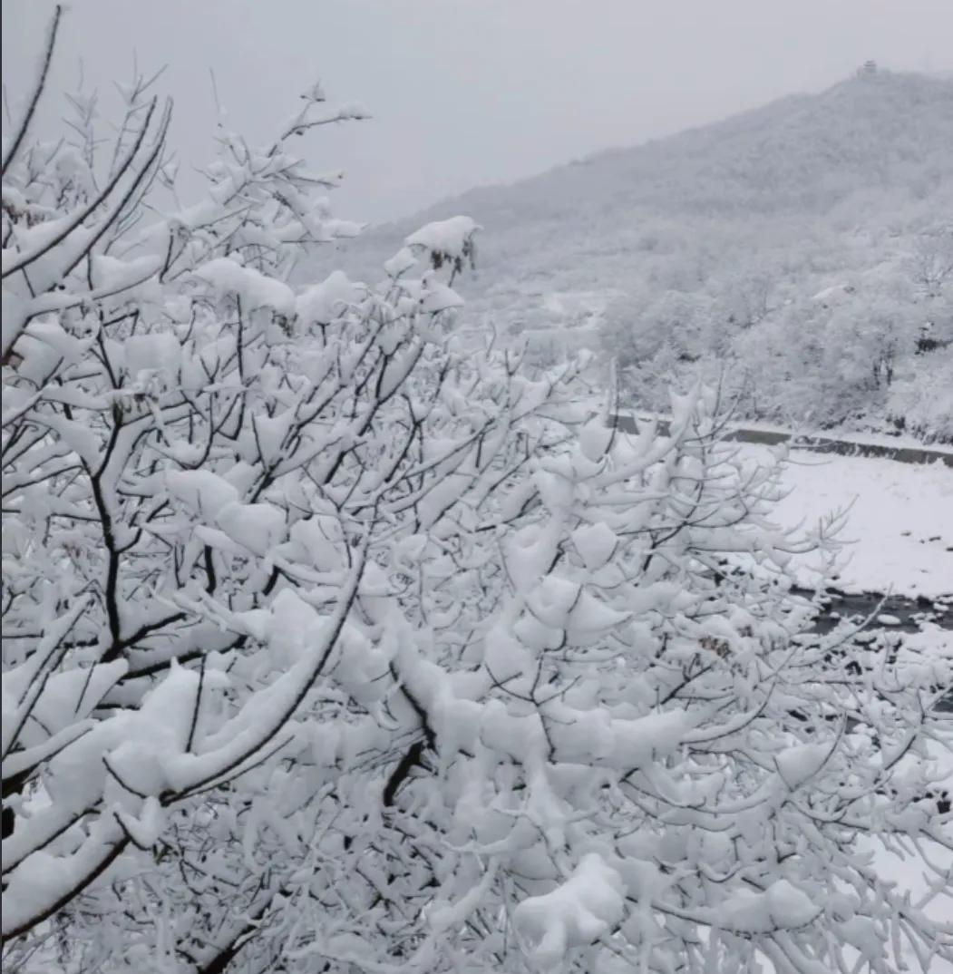 雪，是大自然的精灵，是冬日的使者。“忽如一夜春风来，千树万树梨花开”，岑参的这句