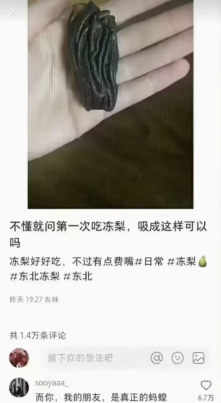 所以冻梨到底该怎么吃 