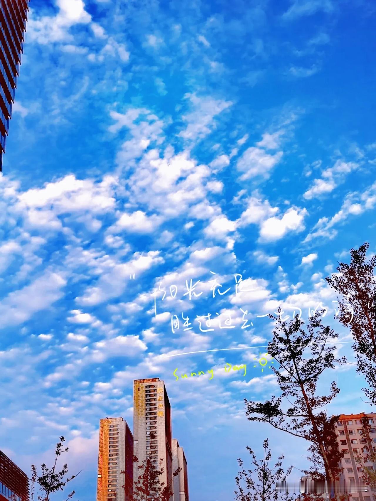一一秋天美妙的天空

一一秋高气爽

一一天高云淡

一一【原创摄影】

#秋日