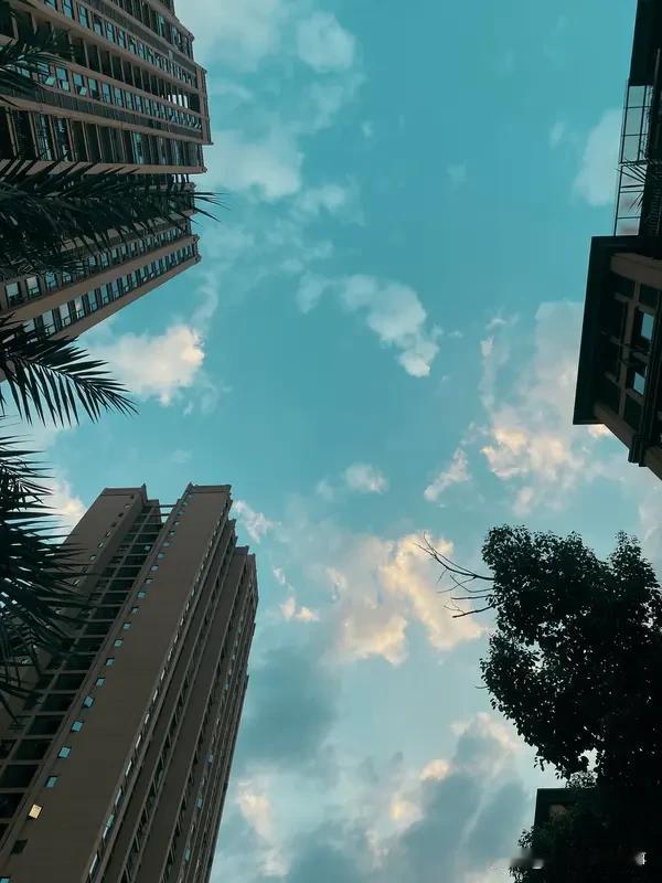 生活宛如一场奇妙之旅，每日皆有新的可能。太阳日日新，你亦如此。莫让昨日烦恼扰了今