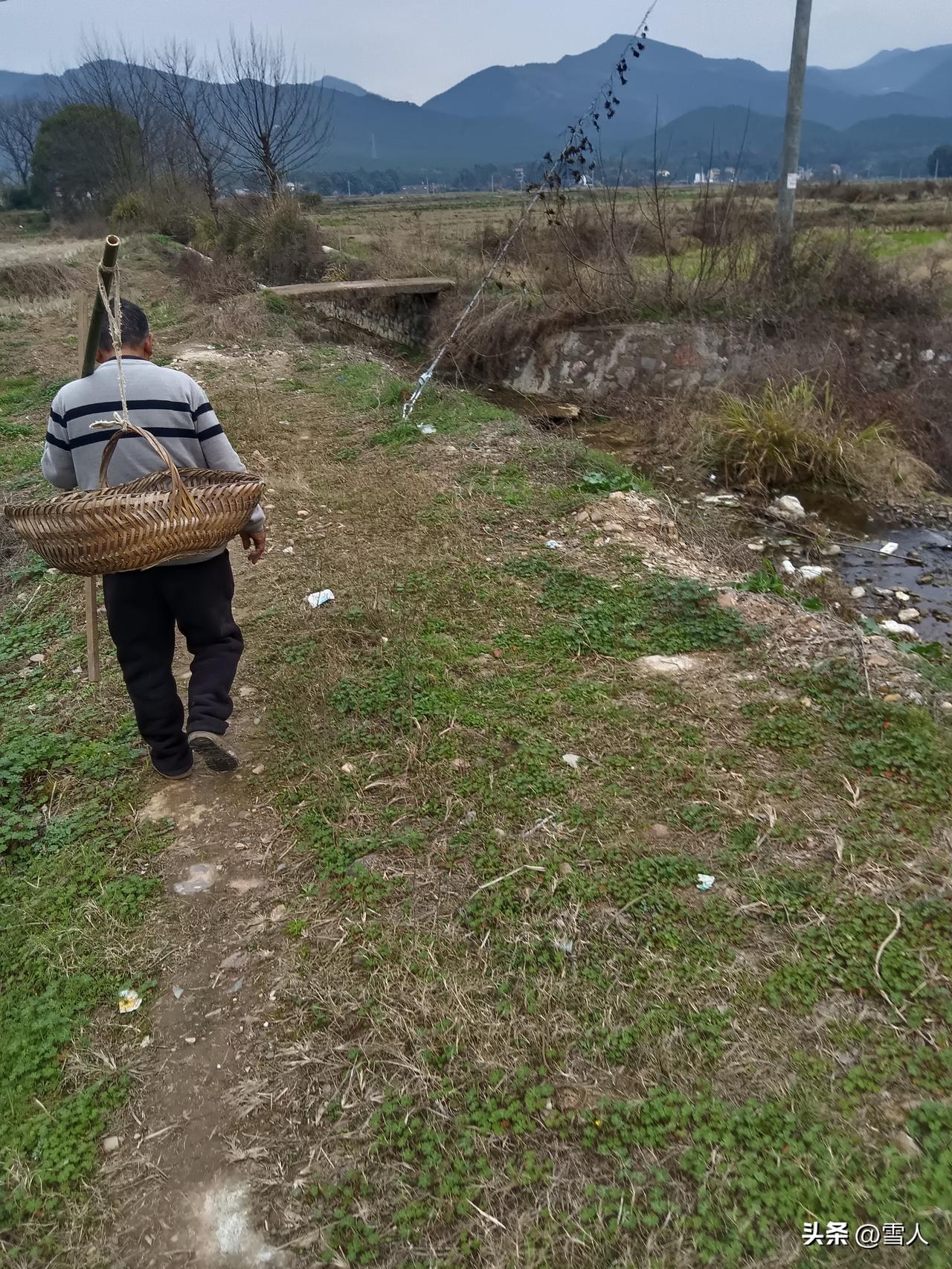 春风一喊
山就醒了
小路弯弯曲曲
领着我往绿意深处走
 
泥土带着湿气
蕨菜顶着