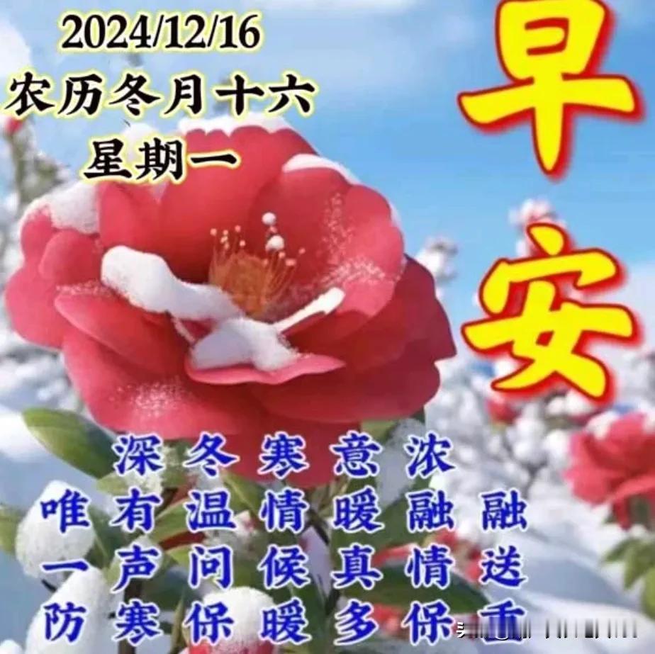 新的一周开始了，
快乐启程又一天；
清晨头条祝平安，
相互祝福心里暖；
健康幸福