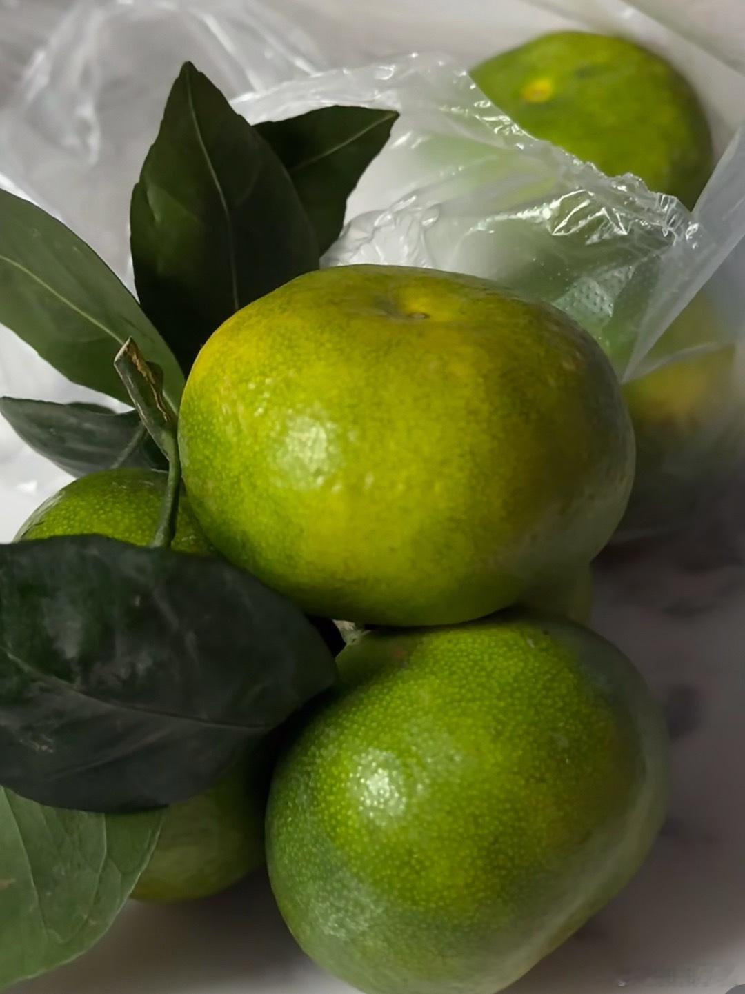 被淘汰的水果，不知道大家还记不记得青橘子，小时候真的很爱吃，不知道为什么后边再也