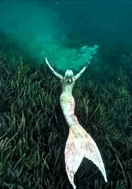 近日，泰国攀牙府海岸惊现一具被斩首的“美人鱼”尸体，引发全球关注。

经专业人员