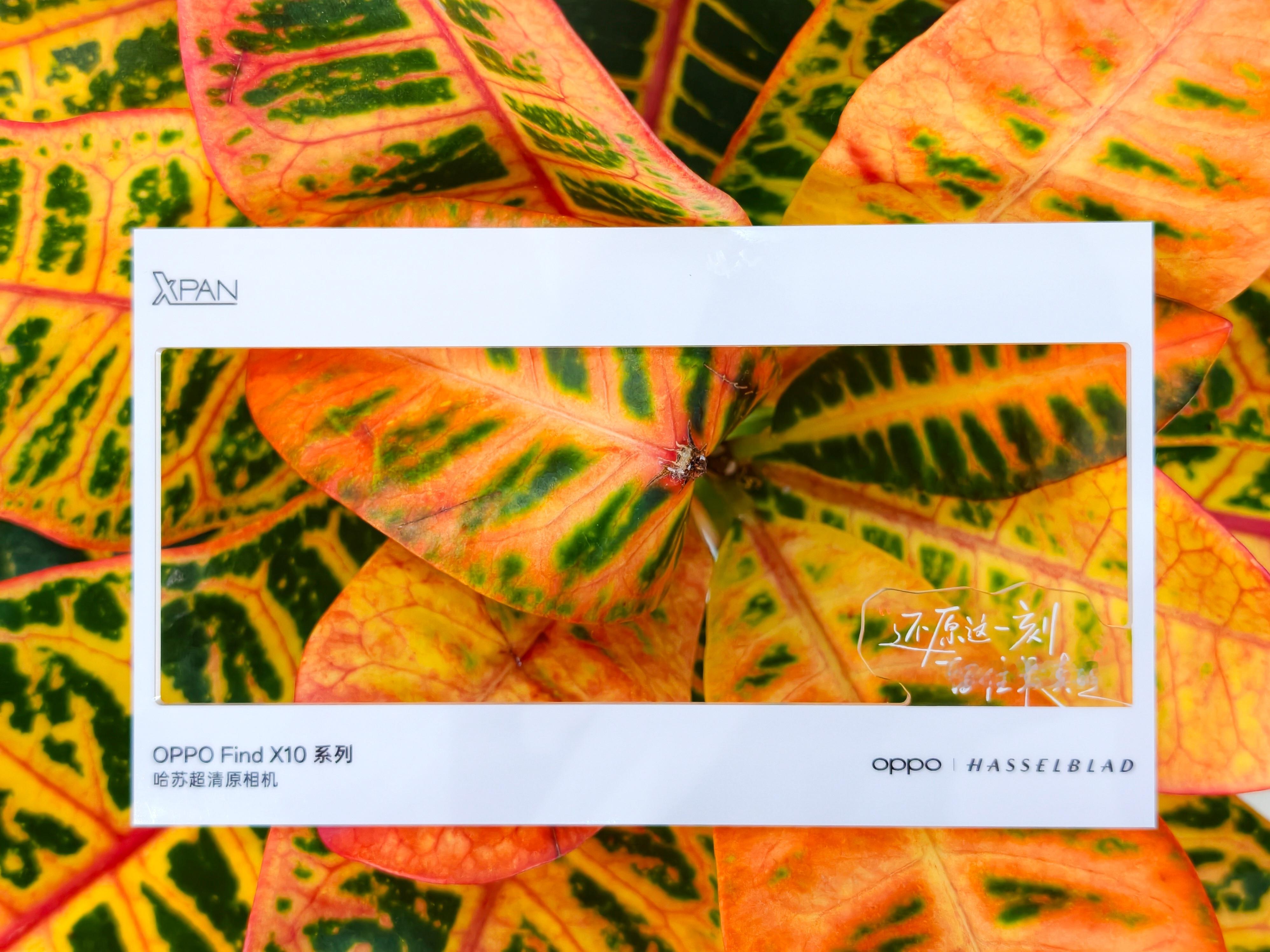 收到OPPO Find X10系列发布会邀请函！内含四张镂空透卡，主打还原真实影