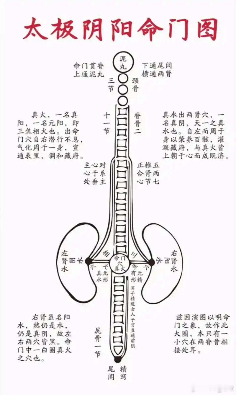 方法很土，但真的很滋阴！卵巢早衰爱出汗，这个古方深层滋养卵巢不到四十岁，月经说停