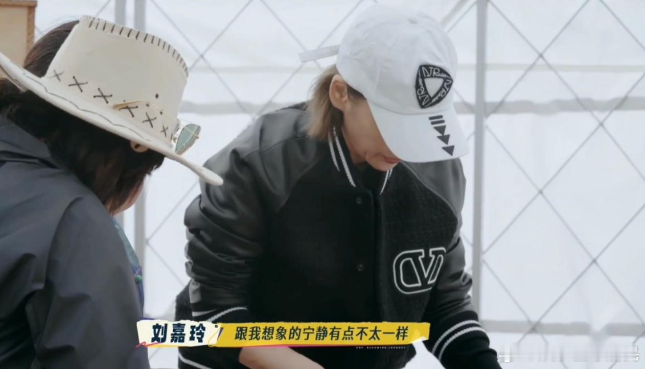 刘嘉玲说宁静很有女人味 救命！宁静直接把厨房变成个人秀场，切菜利落颠锅有范儿，荧