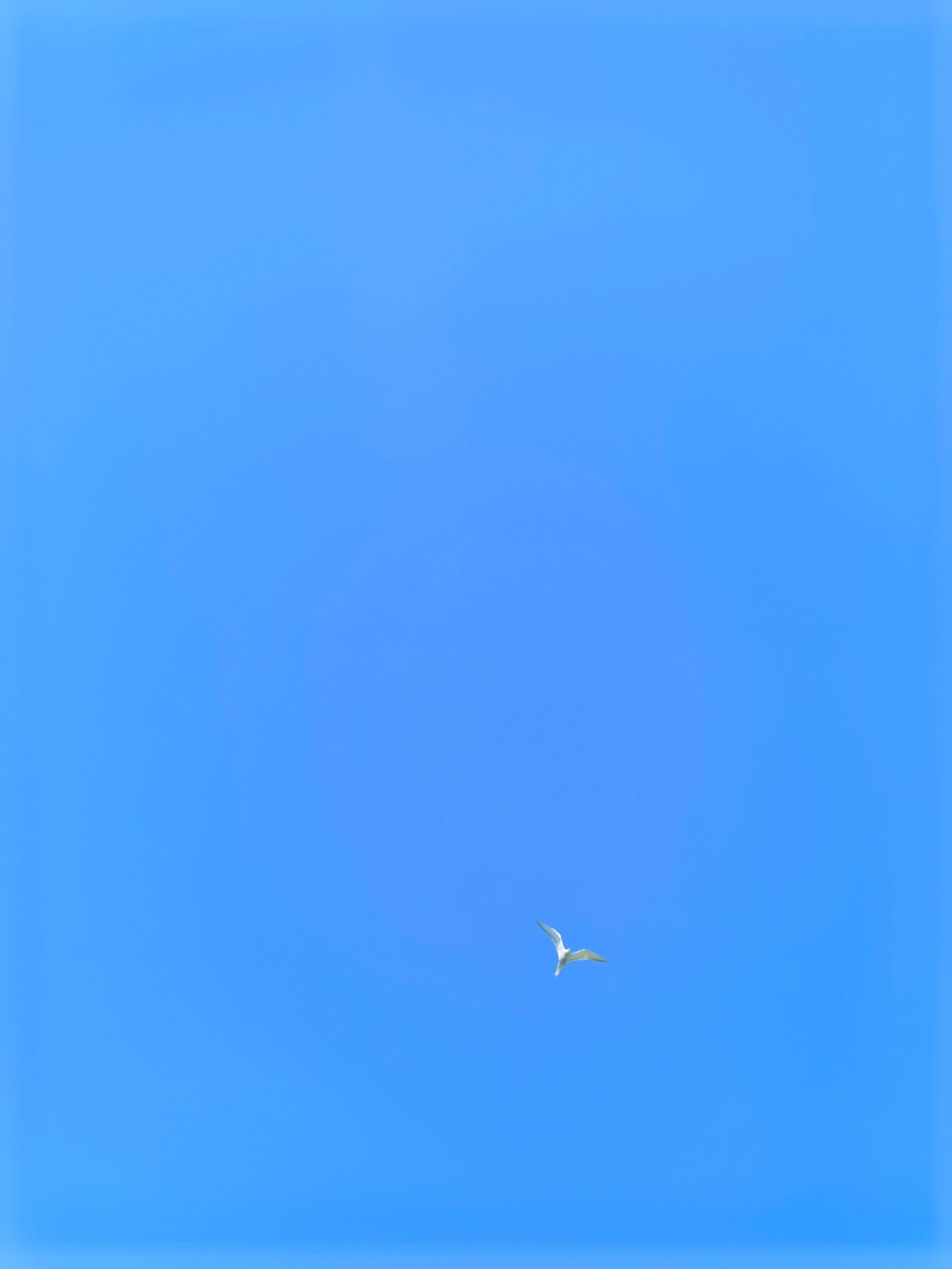 当看到有一个人在脱掉袜子抠脚后，直接未洗手就去做了一张饼端过来，这时你...