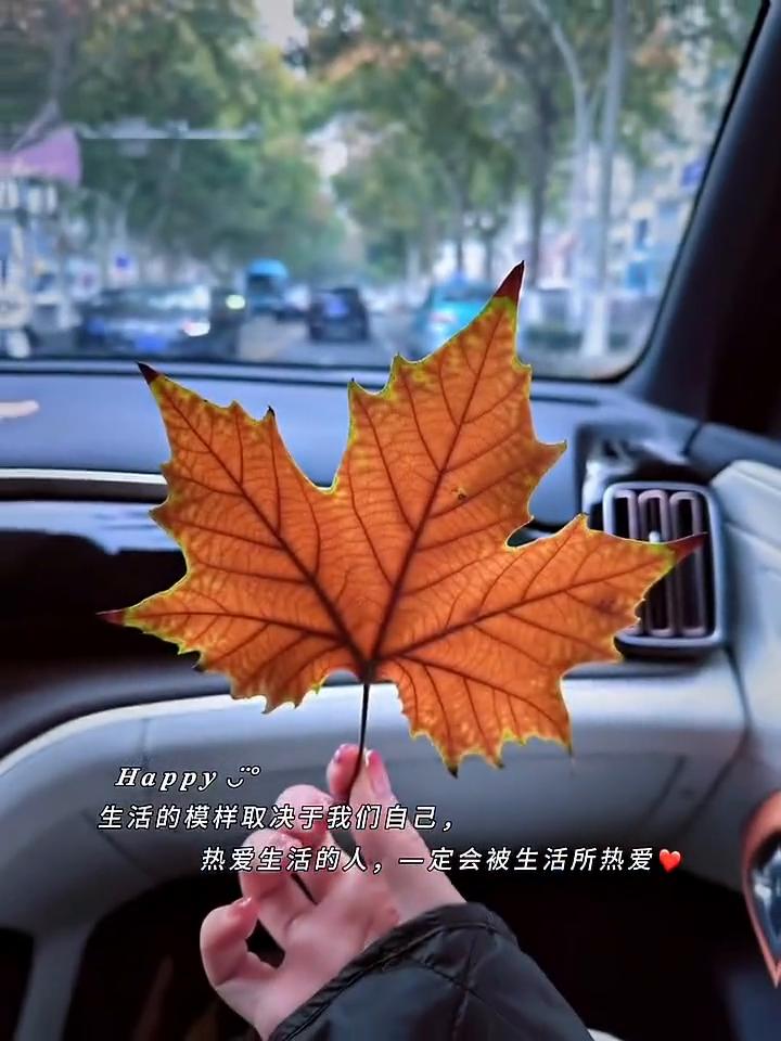 生活的模样取决于我们自己，热爱生活的人一定会被生活所热爱。