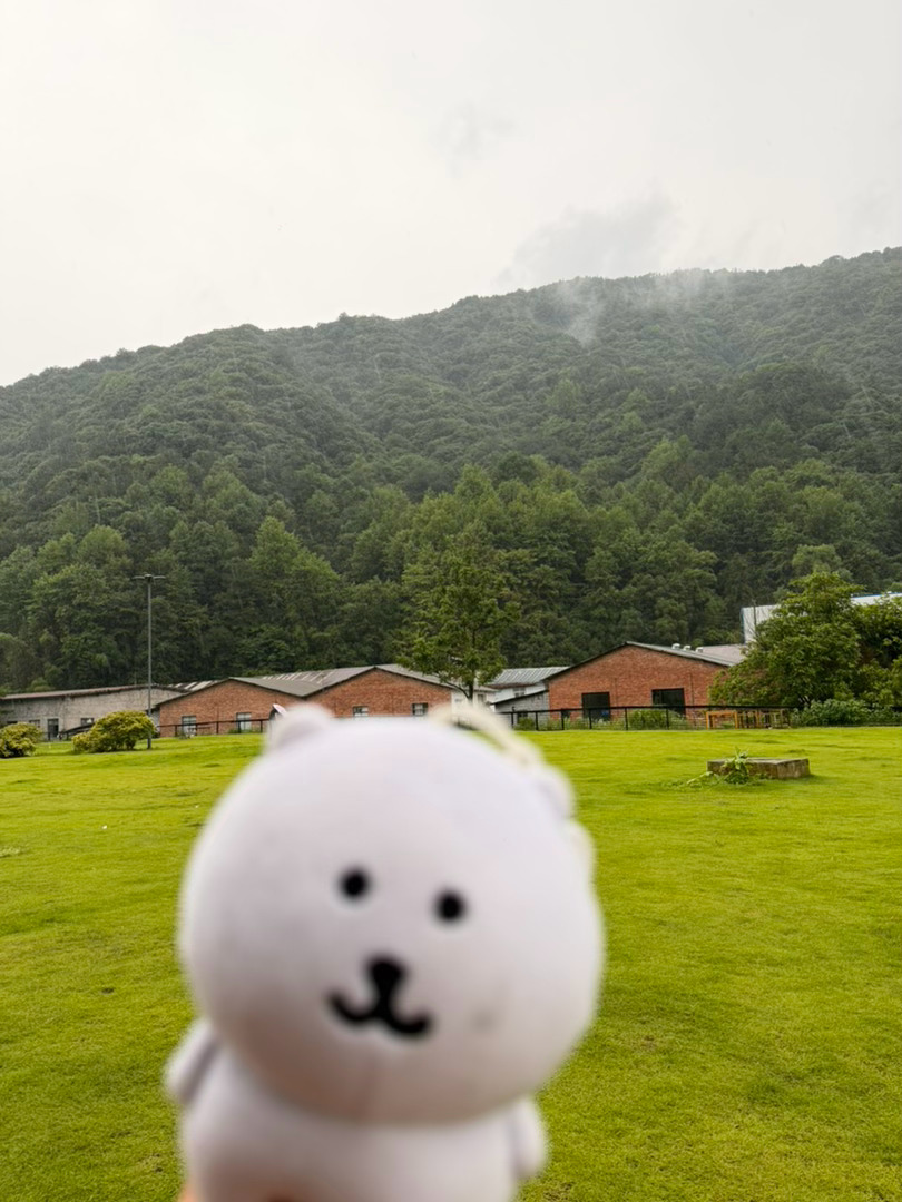 一个人的景德镇旅行赶上了梅雨季节  打着伞走走停停做手工 很舒服 