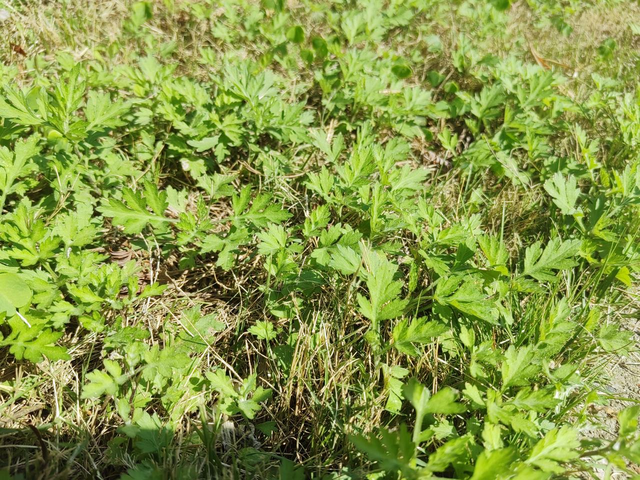 除非不可抗力，或者自身因素，目前来看不会主动辞退[握手][握手]//@源光3:合