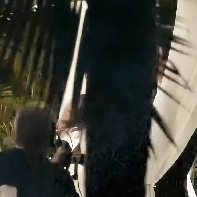 果然娶到心爱的女孩就像打了胜仗 真的被靳朝的嘚瑟甜到了，娶到心爱的姜暮后那股子高