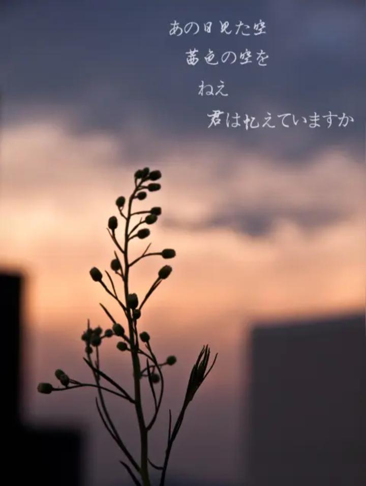 截至5月14日，官方网站尚未发布2026年退休人员养老金是否上涨的消息。然而，不
