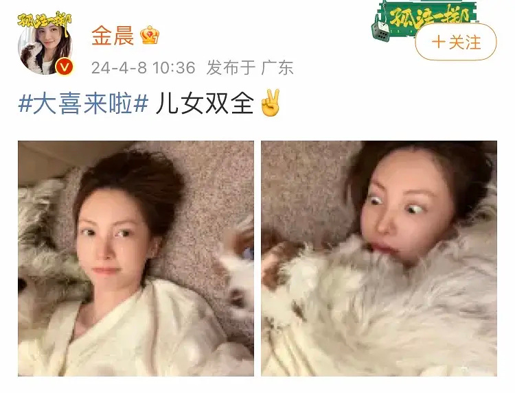 金晨这是在内涵胡夏的一子一女吗哈哈哈 ​​​