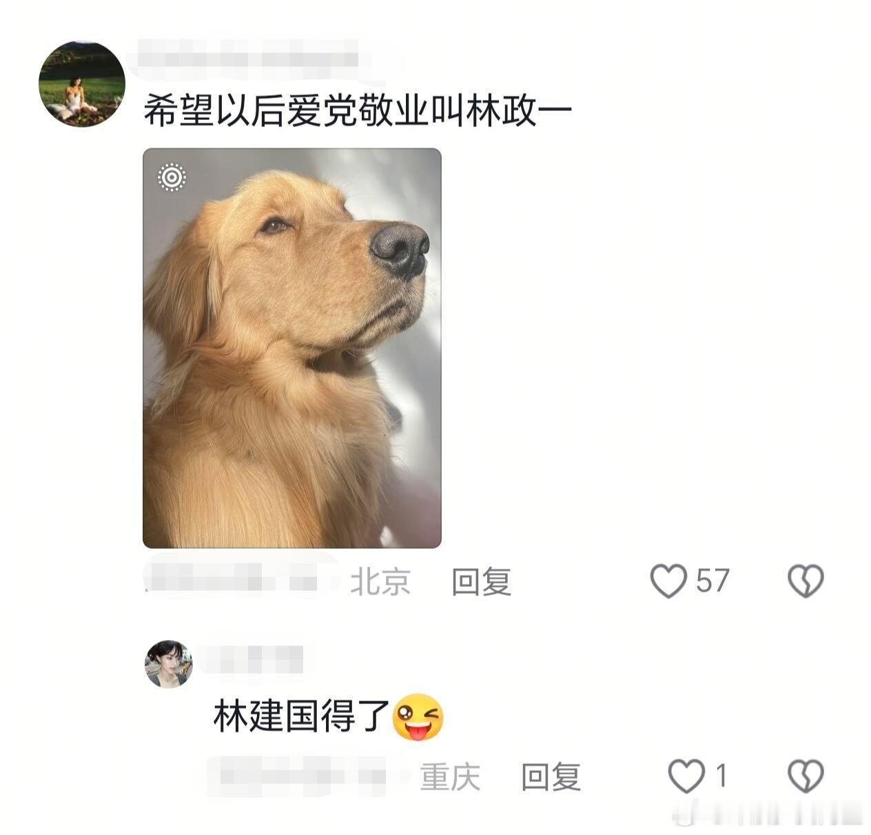 白海豚 没囤东西就来了中国人就是平平无奇的取名小天才 