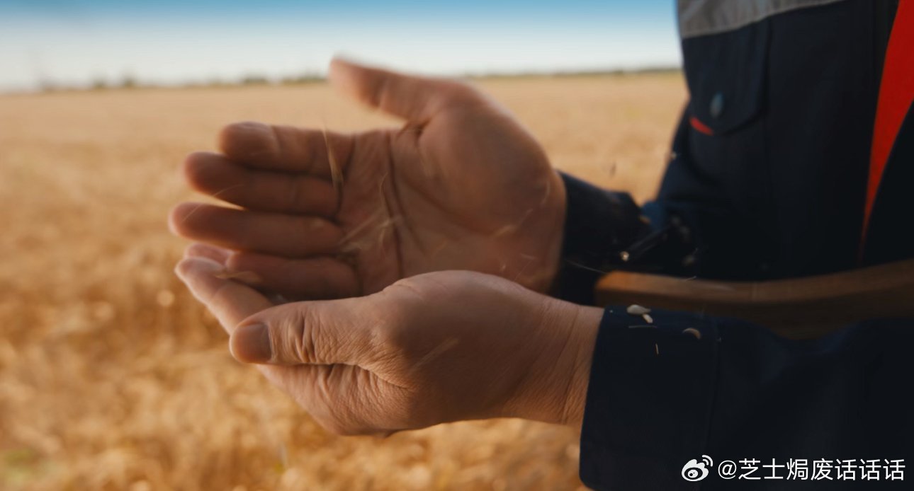 看河北麦收成了网友的顶级疗愈麦收时节的隆尧，麦穗飘香里藏着希望。今麦郎用订单农业
