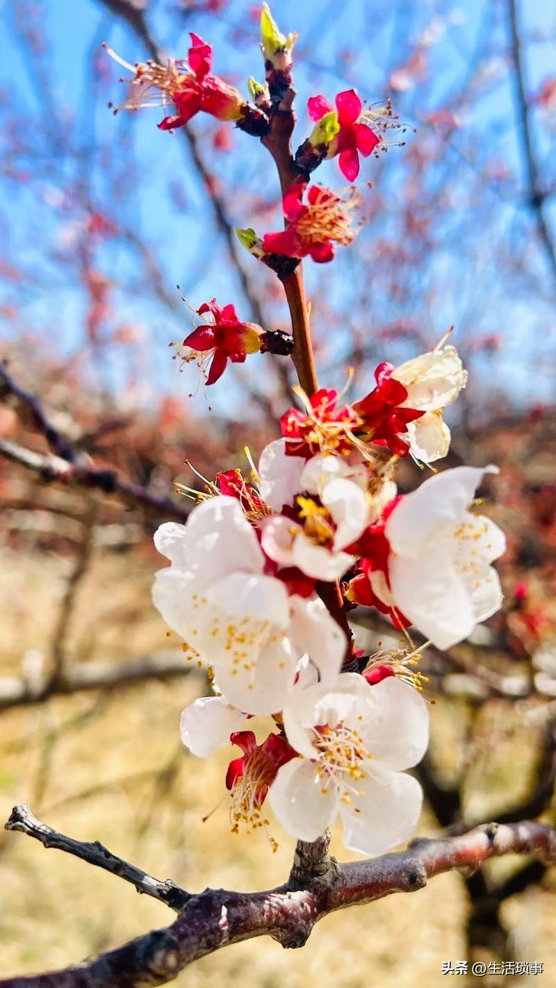 女人的第6感，就是“答案”
……
昨晚，临睡前，我想着老公生意的事。
潜意识告诉
