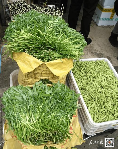 春：野菜当家，一口鲜爽启新岁，春天的武汉，最先在菜场掀起风浪的是带着山野气息的春