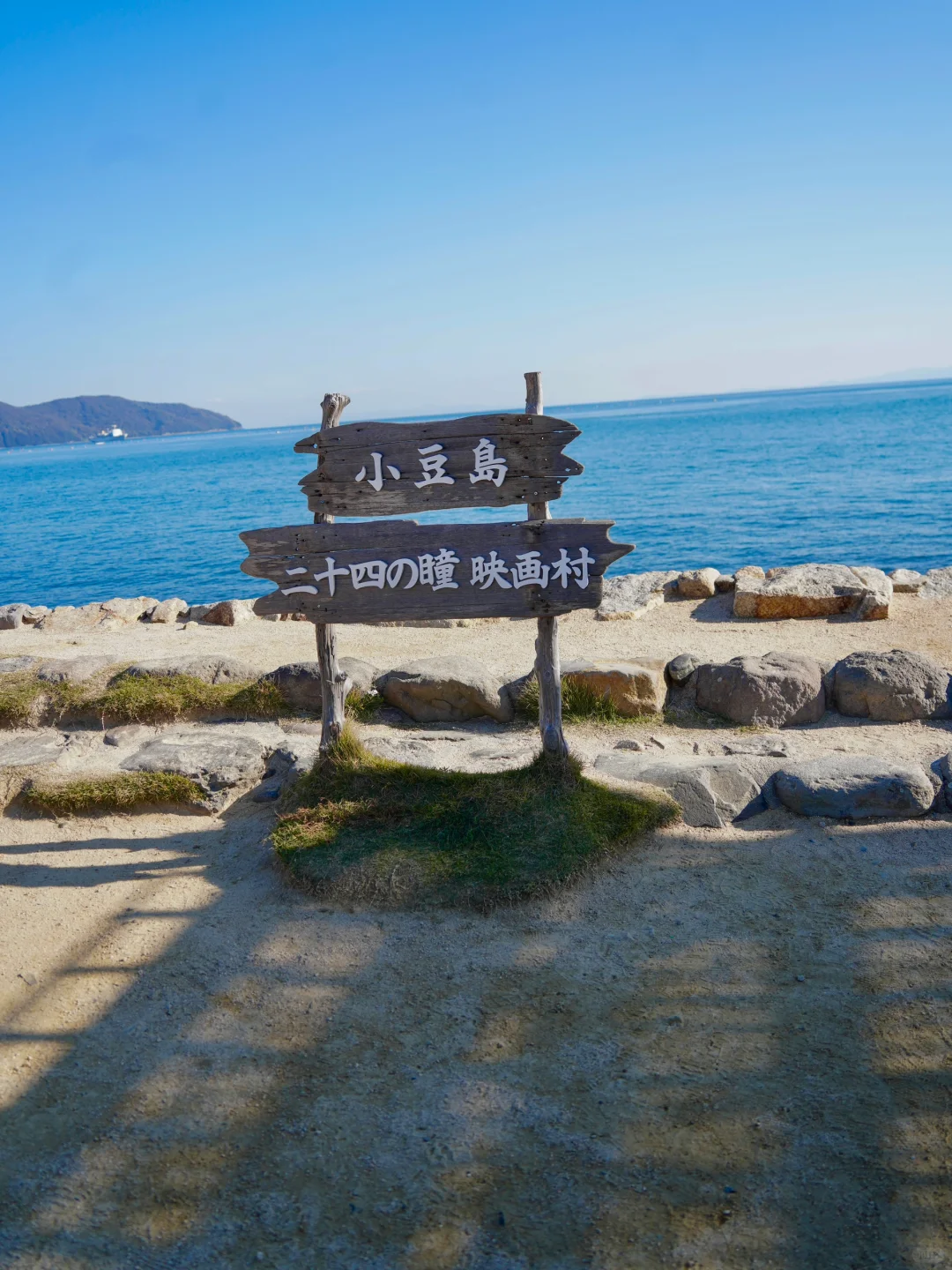 我就说吧！不能没有大海和🐱