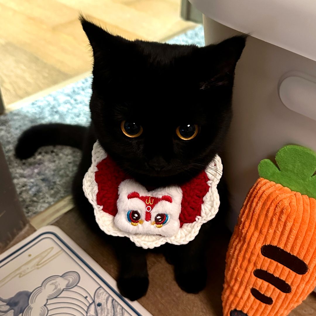 宝宝我跟你亲了！