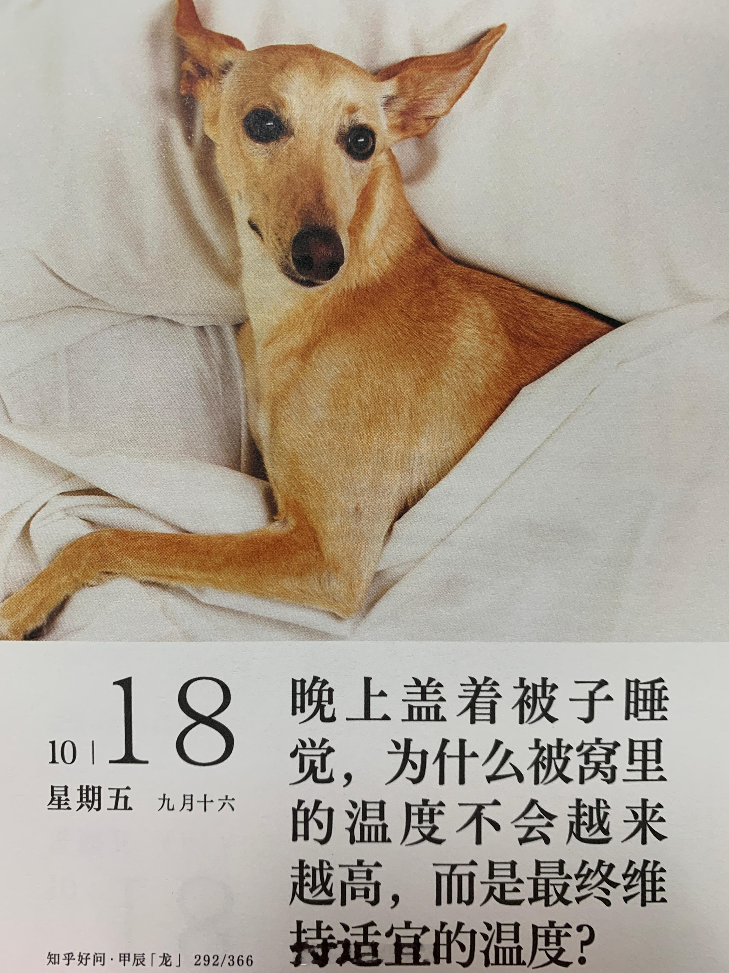 早安朋友们！ ​​​