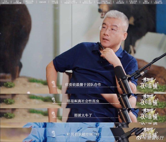 狼性团队是很差的团队狼属实是大型背锅现场，张劲硕馆长科普辟谣，企业口中的狼性文化