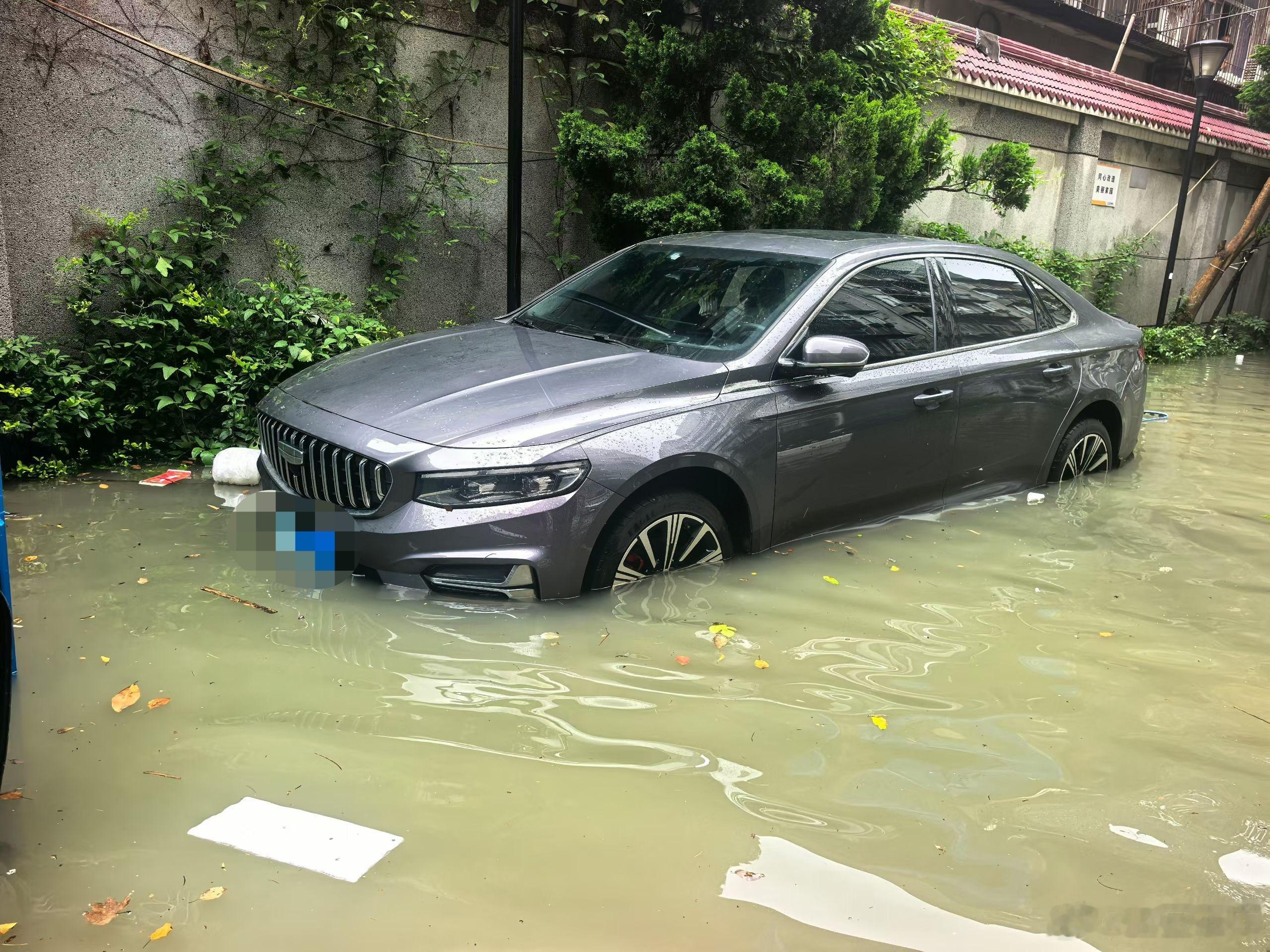 大哥让我上门看车？？？？这 