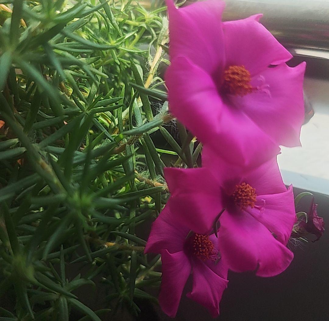 我们一直都在路上，躺平是怯懦者的追求，向上生长才是生活状态。
青春不在年龄而是一