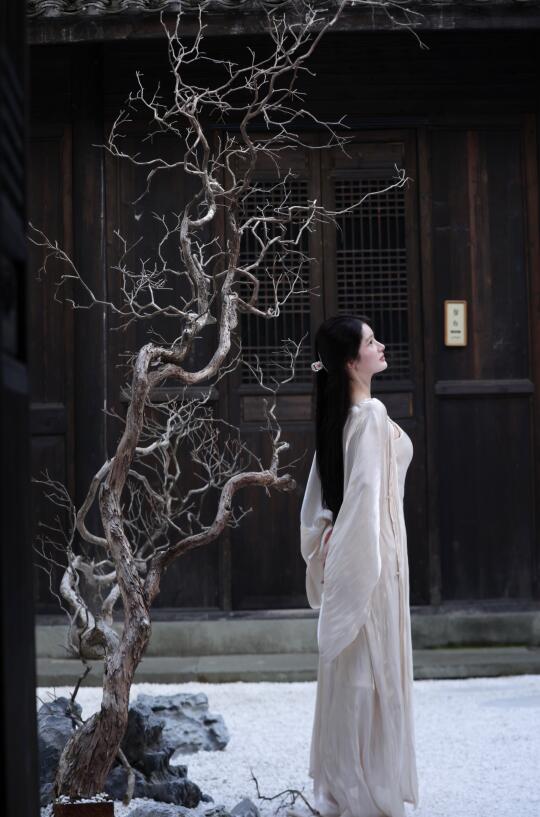 雅