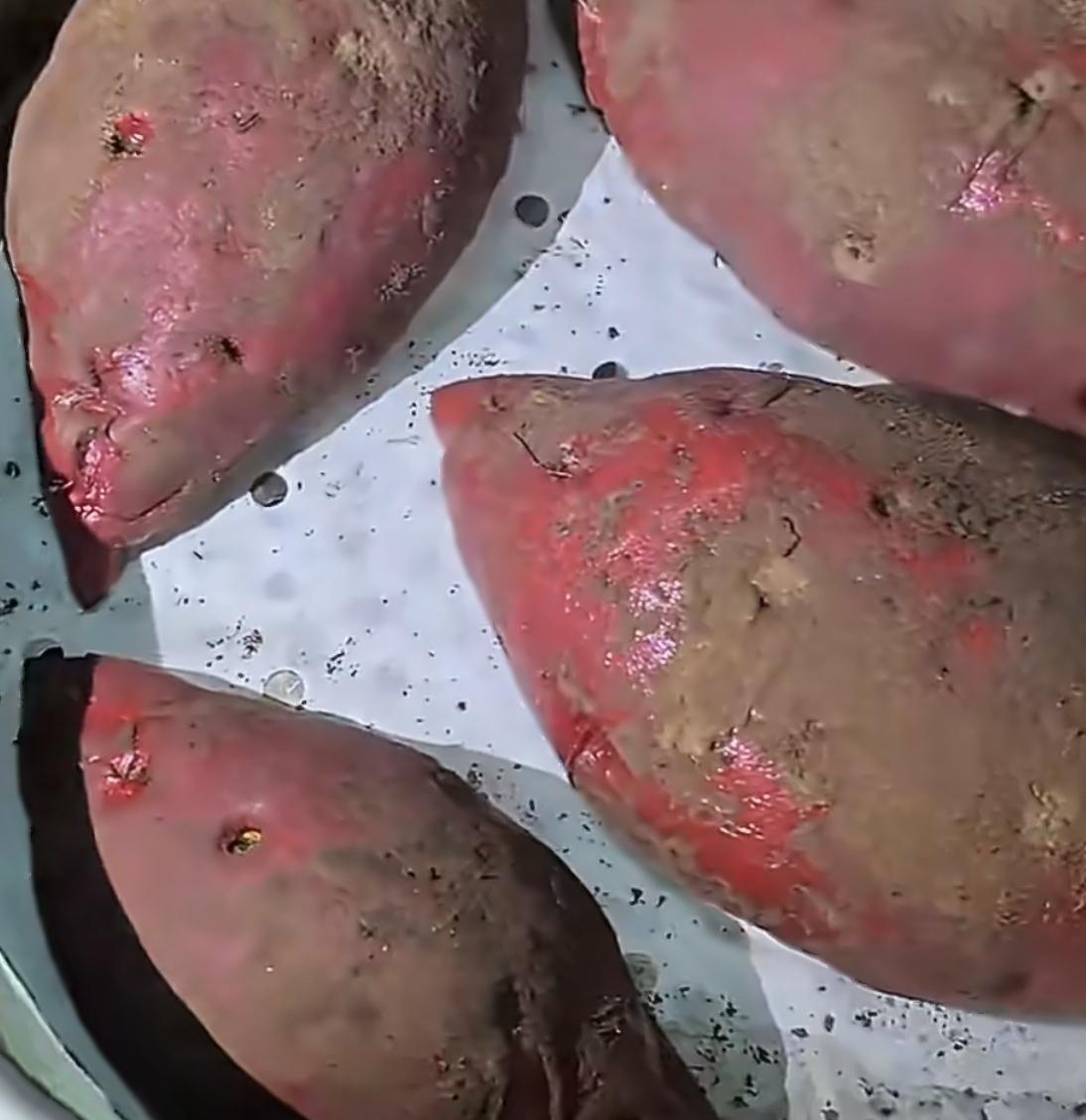 本以为是青铜，
结果是王者，
女孩蒸了一锅“带泥红薯”，我本想吐槽红薯没洗就上锅