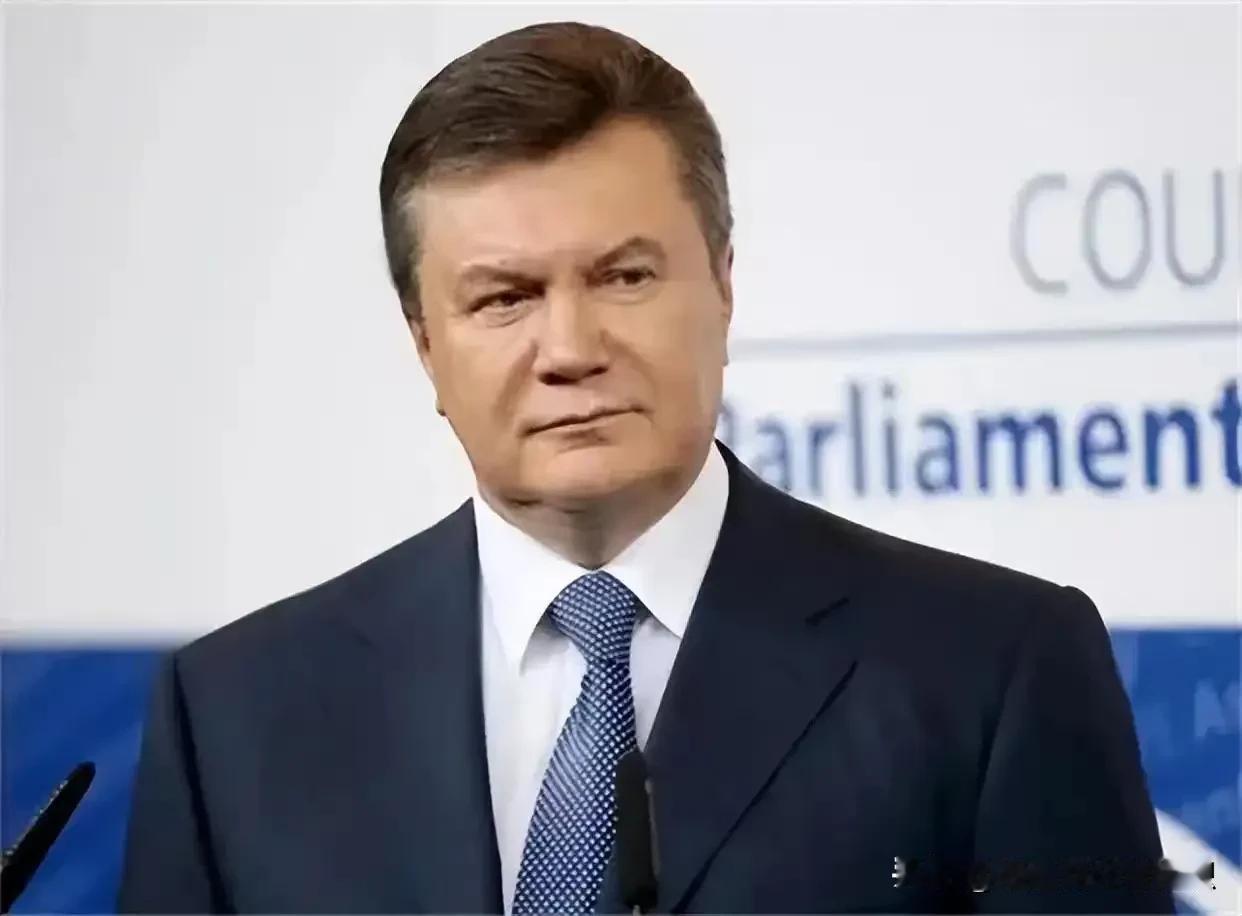 乌克兰的真正罪人是亚努科维奇。
是他把乌克兰往俄罗斯那边倾斜，
导致乌克兰失去主