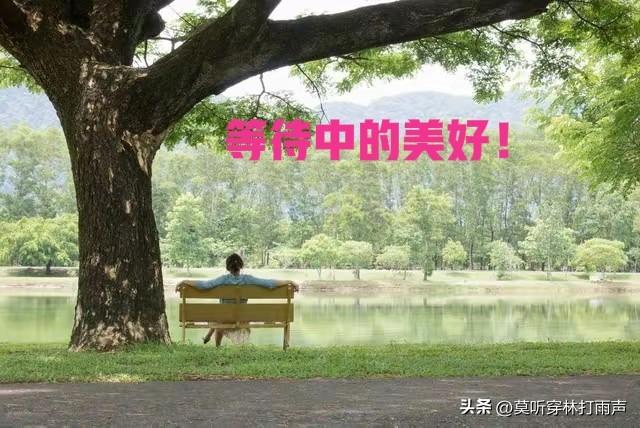 股民对量化抱怨大，确实是因为亏钱了。不同立场对量化看法天差地别。

散户对量化深