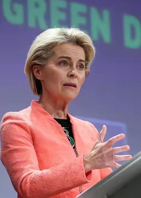 一个欧洲高官向欧盟发出了质疑：“要是我们真帮美国把中国搞垮了，那美国不是想干嘛干