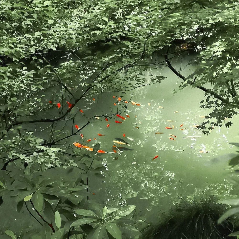 𝙒𝙚𝘾𝙝𝙖𝙩 绿色系背景图｜盎然向上，生机勃勃🌲   