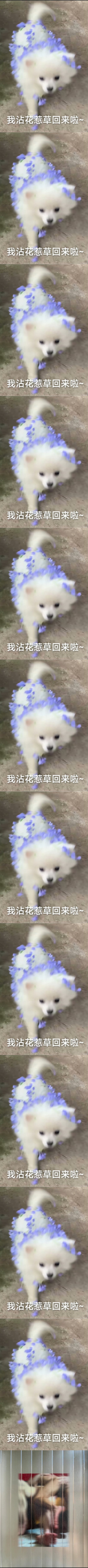 这个肤色差给你看过没有