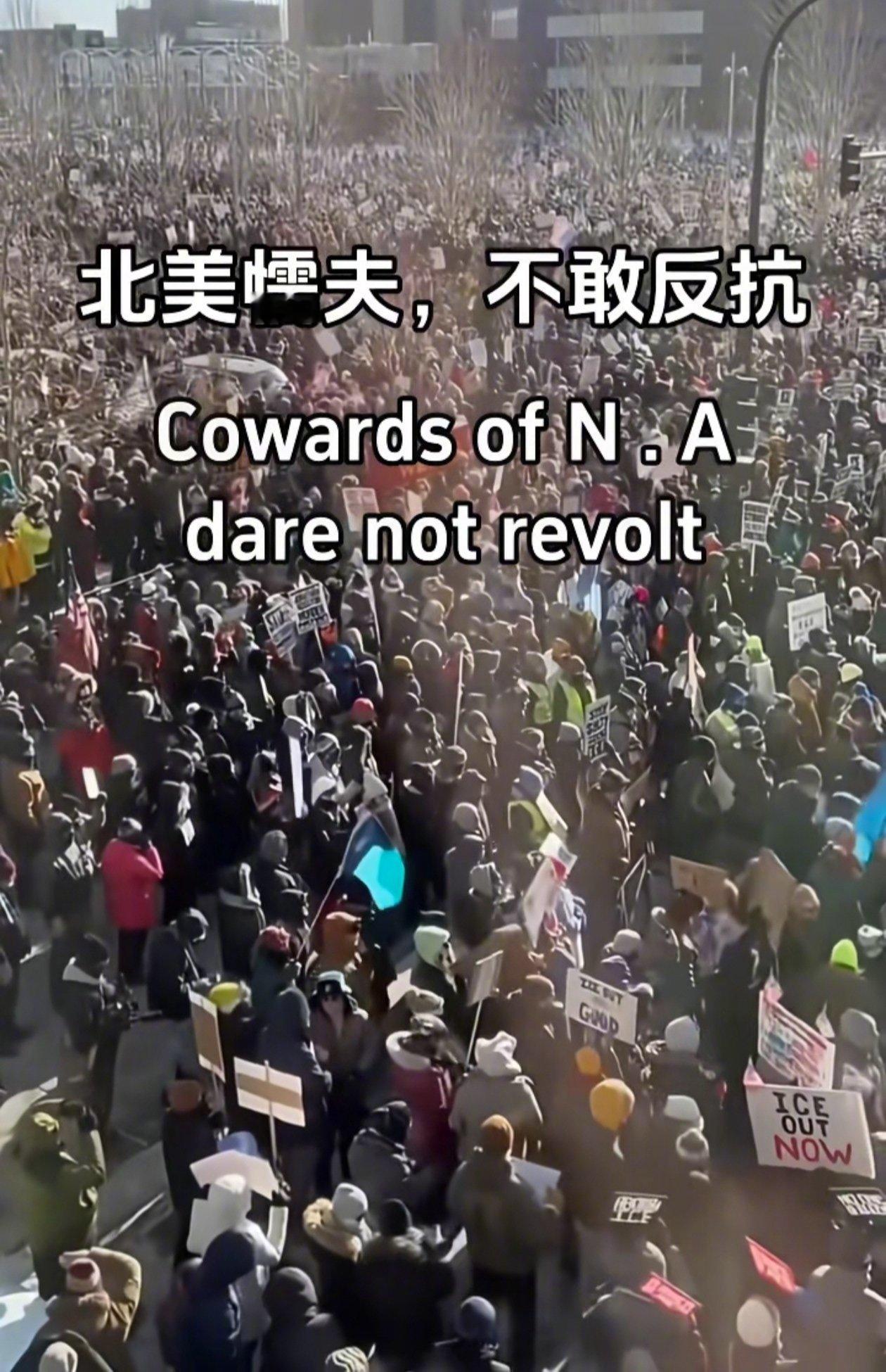 特匪暴政，当街行刑，人人拥枪，无人硬刚。抗议抗议，游行游行，北美懦夫，不敢反抗。