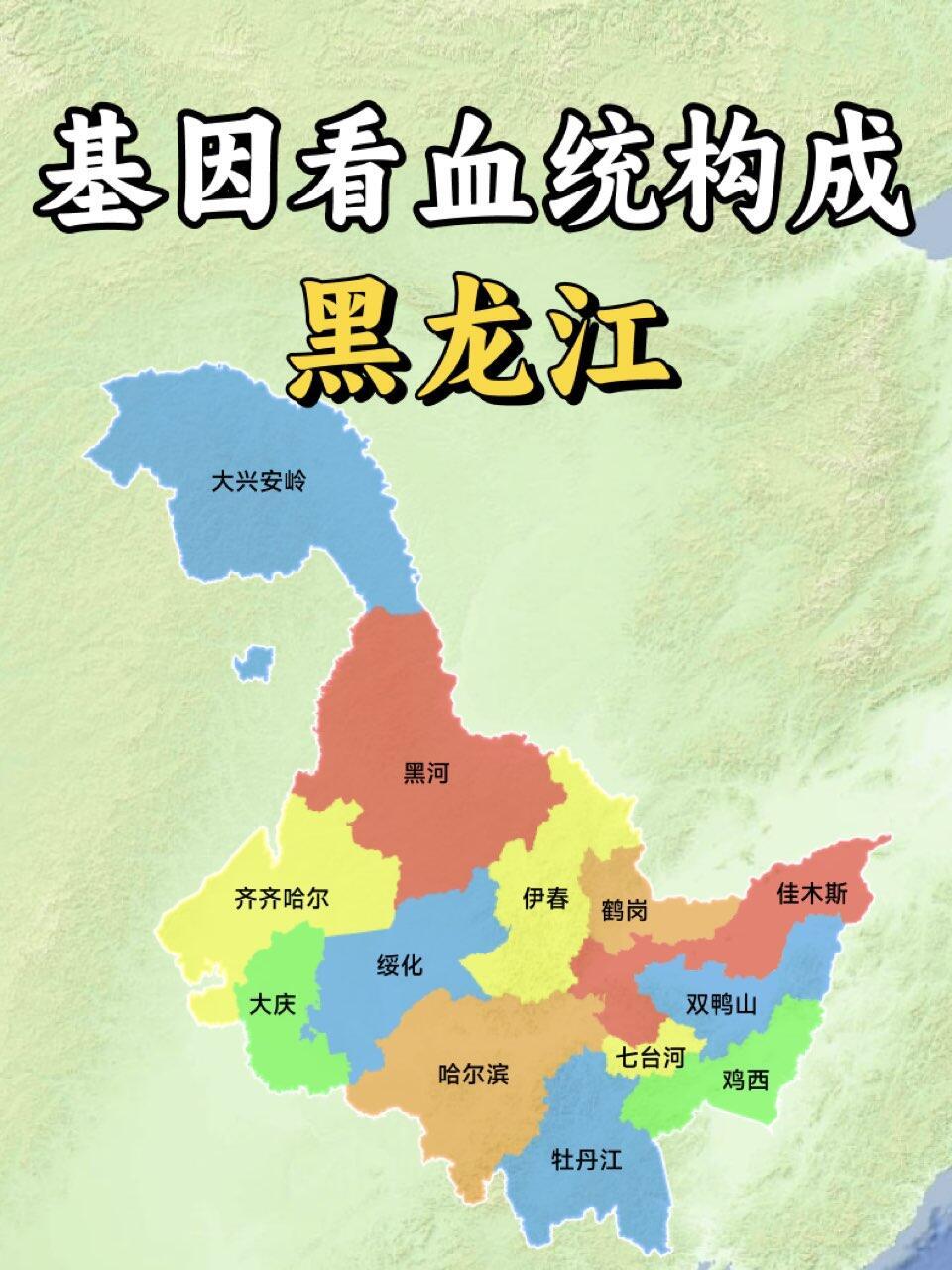 黑龙江各市的民族分布图。