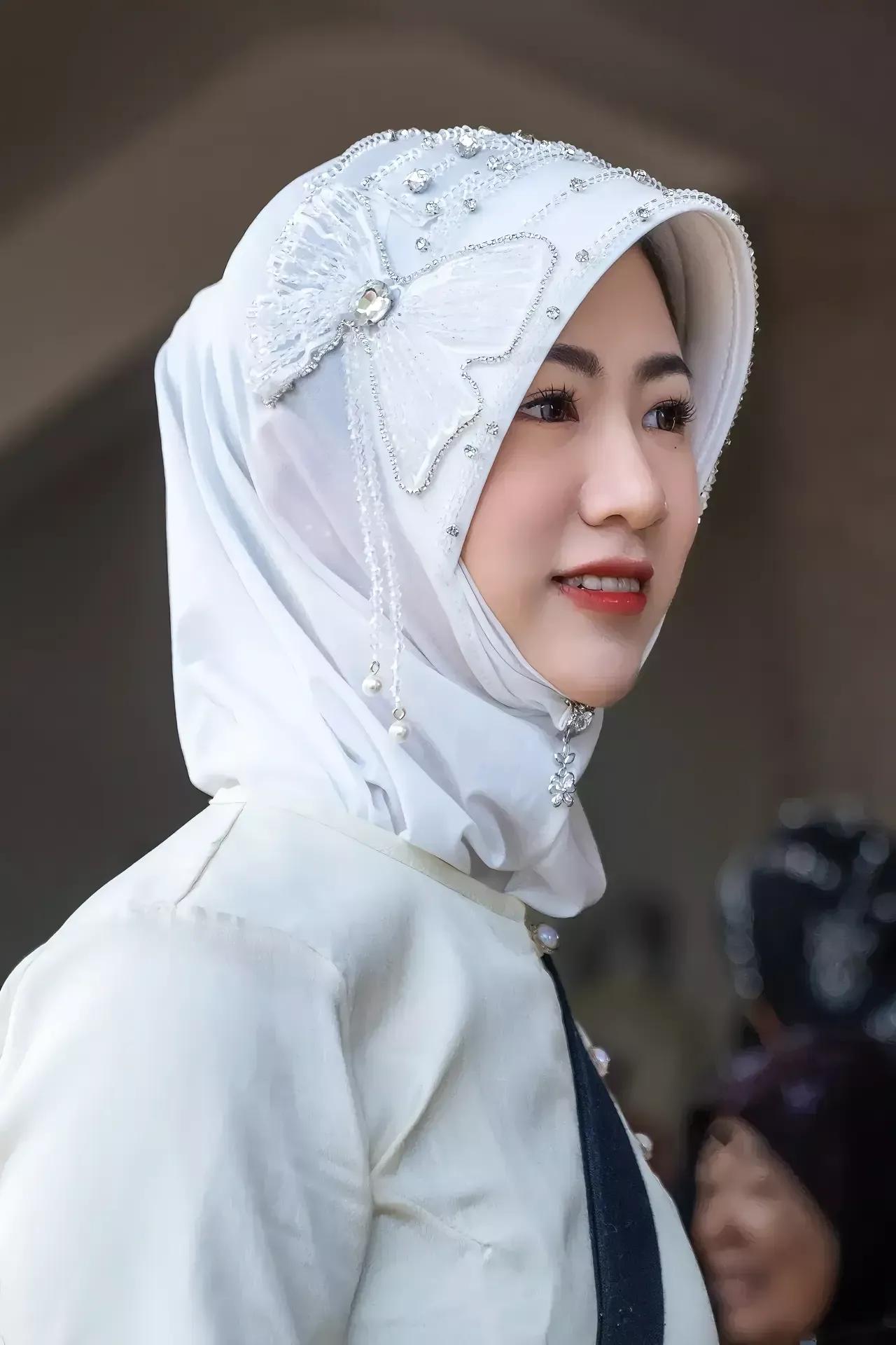 在中南半岛上，除了受到中华文化影响的越南之外，其它国家如泰国、缅甸、老挝、柬捕寨